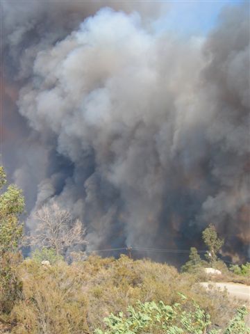 Fire Photo