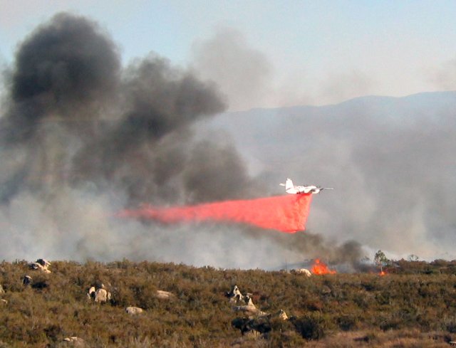Fire Photo