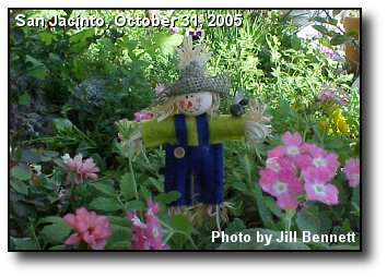 Garden Scarecrow