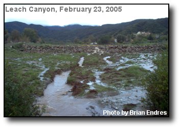 Creek Levee