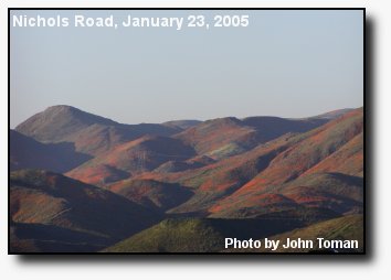 Orange Hills