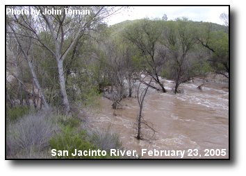 River Flood