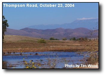 Ducks and Mountains