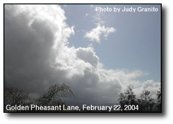 Storm Clouds