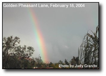 Winter Rainbow