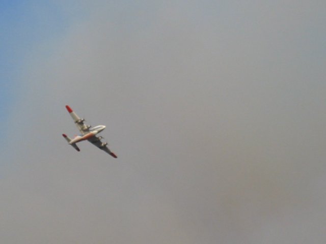 Fire Photo
