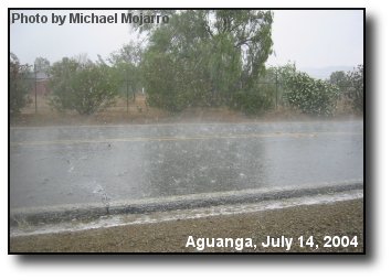 Aguanga Thundershower
