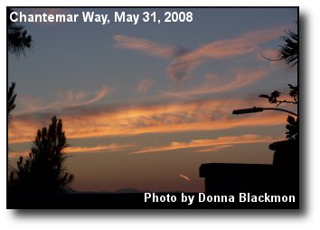 Bird Cloud