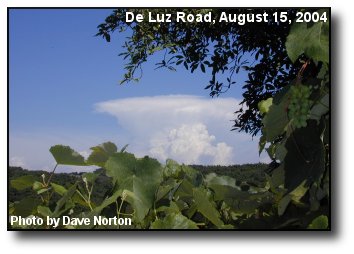 Framed Thunderhead