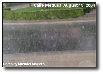 Summer Downpour