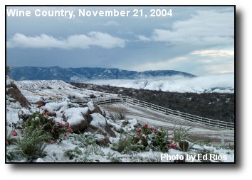 Wine Country Snow