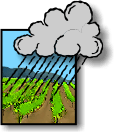 Chance of Rain